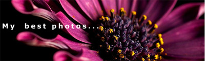 Banner-202