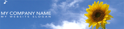 Banner-5