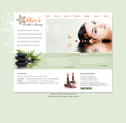 free flash templates fre flash template